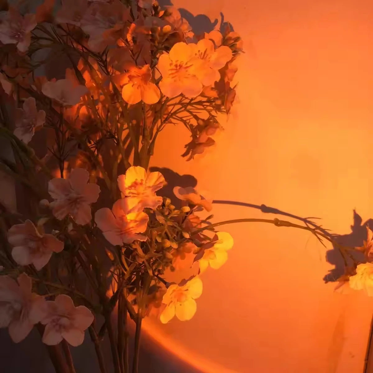 Sunset Photography Light USB - LED